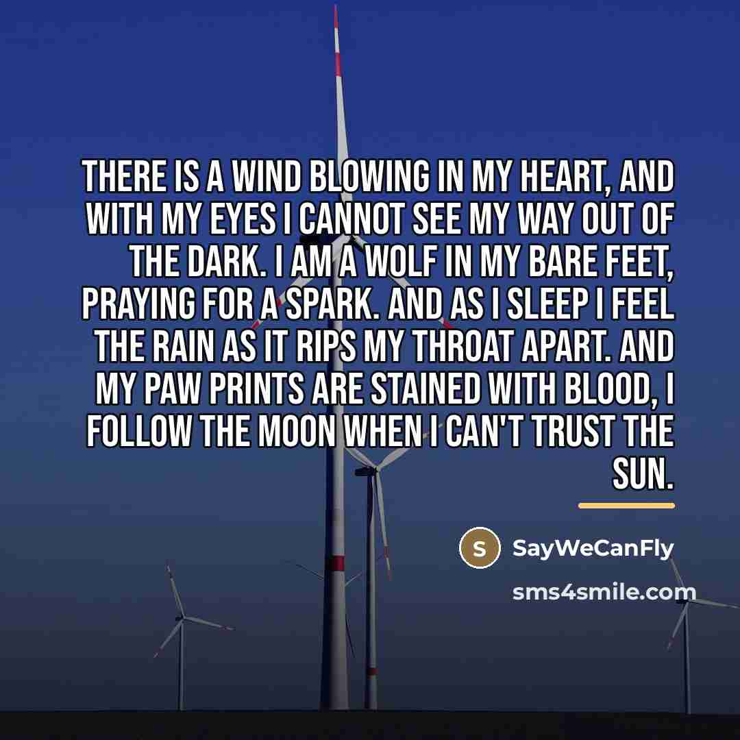 “There is a wind blowing in my heart, and with…” quote by SayWeCanFly
