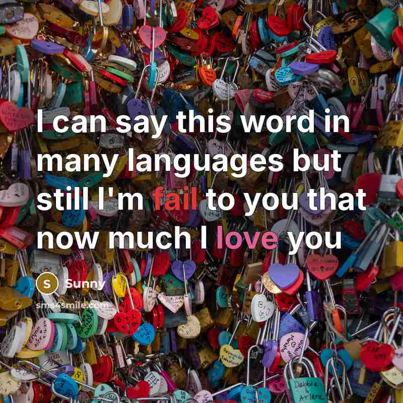 “I can say this word in many languages but still…” quote by Sunny