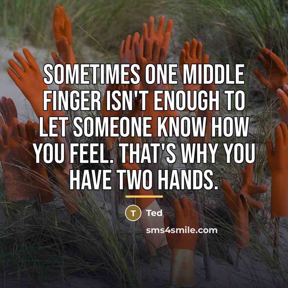 “Sometimes one middle finger isn't enough to let someone know…” quote by Ted