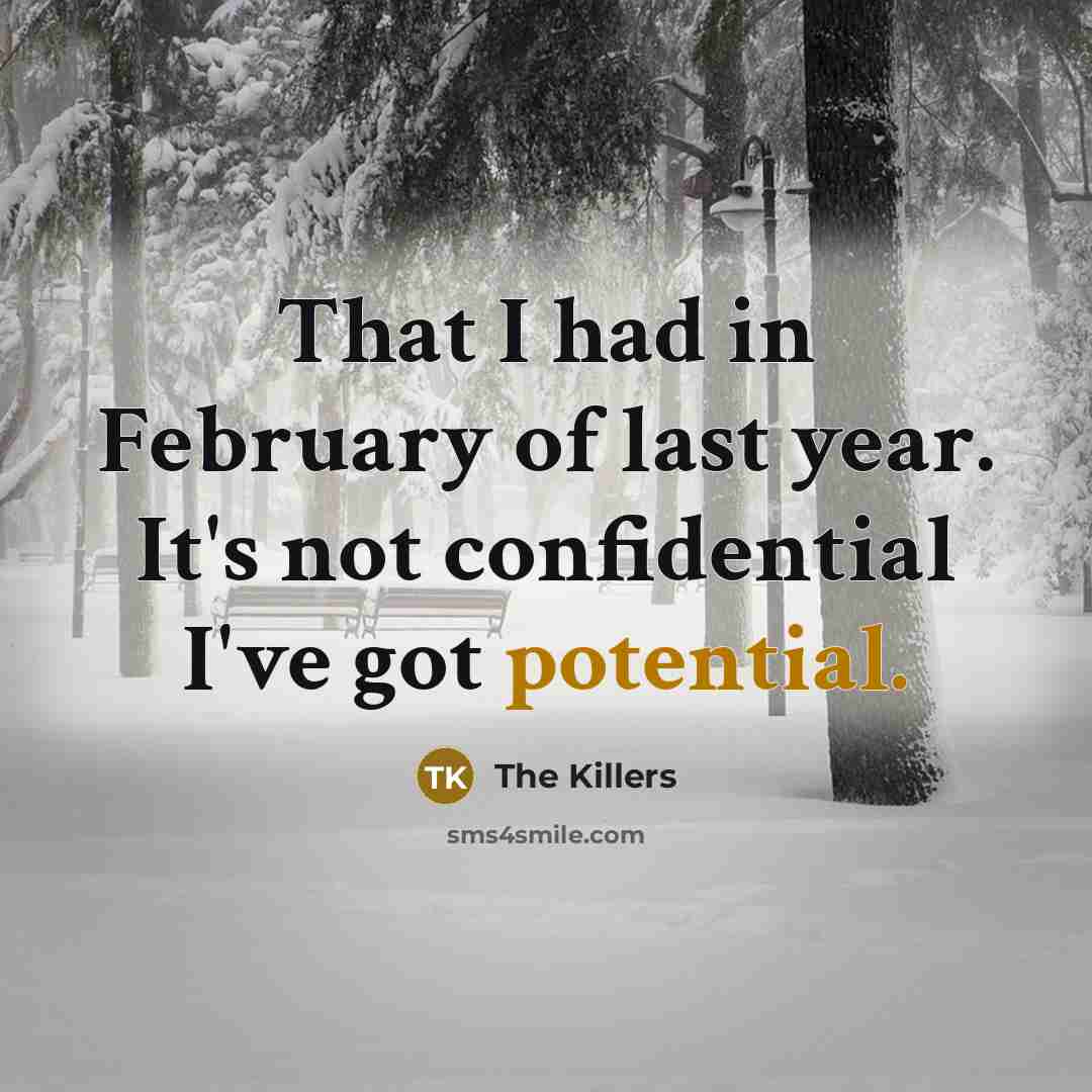 “That I had in February of last year. It's not confidential I've got potential.” quote by The Killers