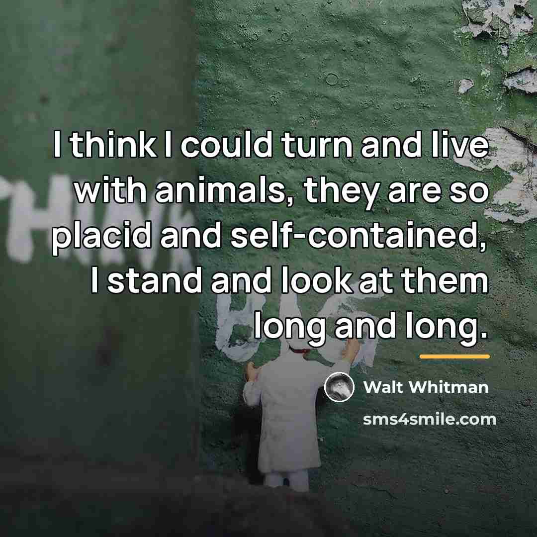 “I think I could turn and live with animals, they…” quote by Walt Whitman
