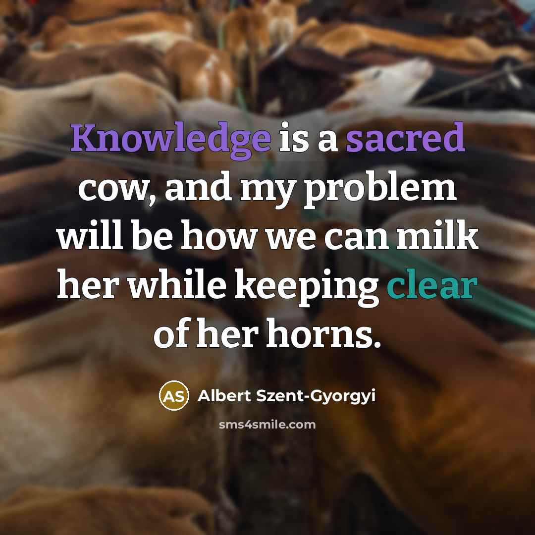 “Knowledge is a sacred cow, and my problem will be…” quote by Albert Szent-Gyorgyi