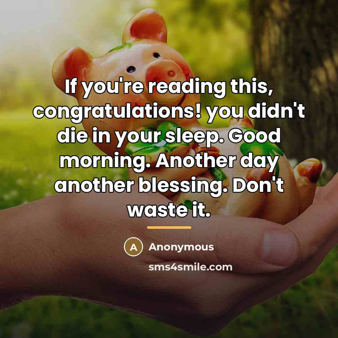 “If you're reading this, congratulations! you didn't die in your…” quote by Anonymous