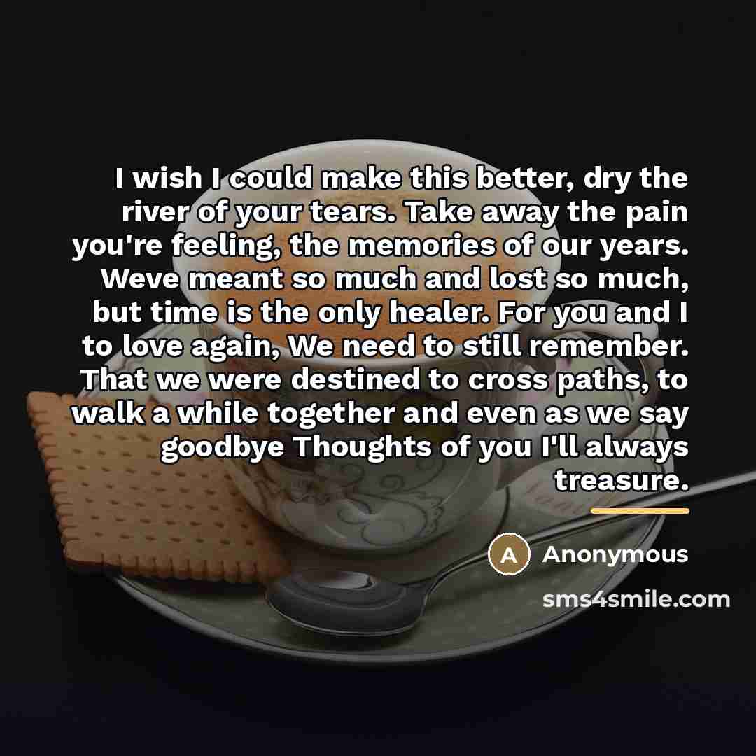“I wish I could make this better, dry the river…” quote by Anonymous