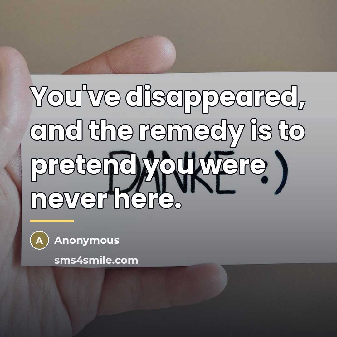 “You've disappeared, and the remedy is to pretend you were…” quote by Anonymous