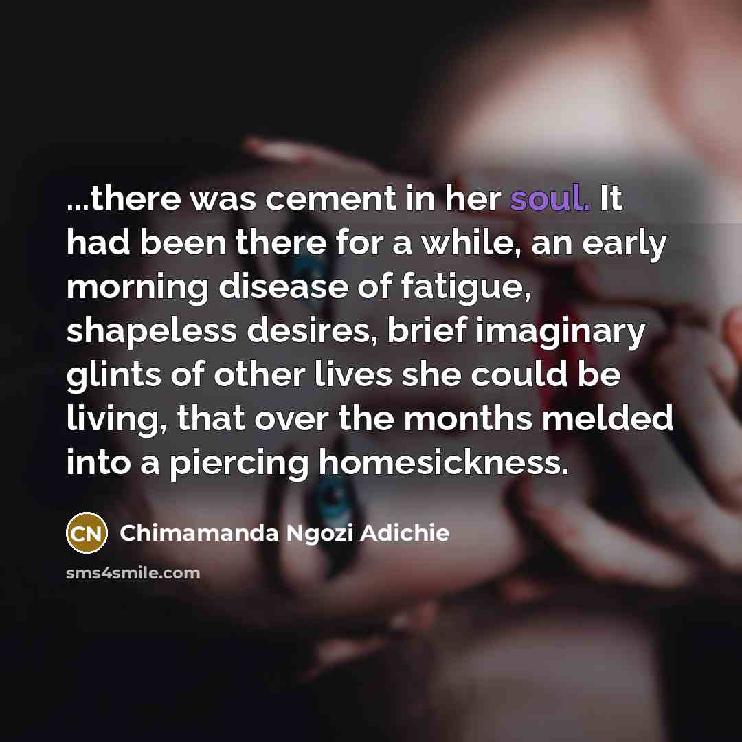 “...there was cement in her soul. It had been there…” quote by Chimamanda Ngozi Adichie