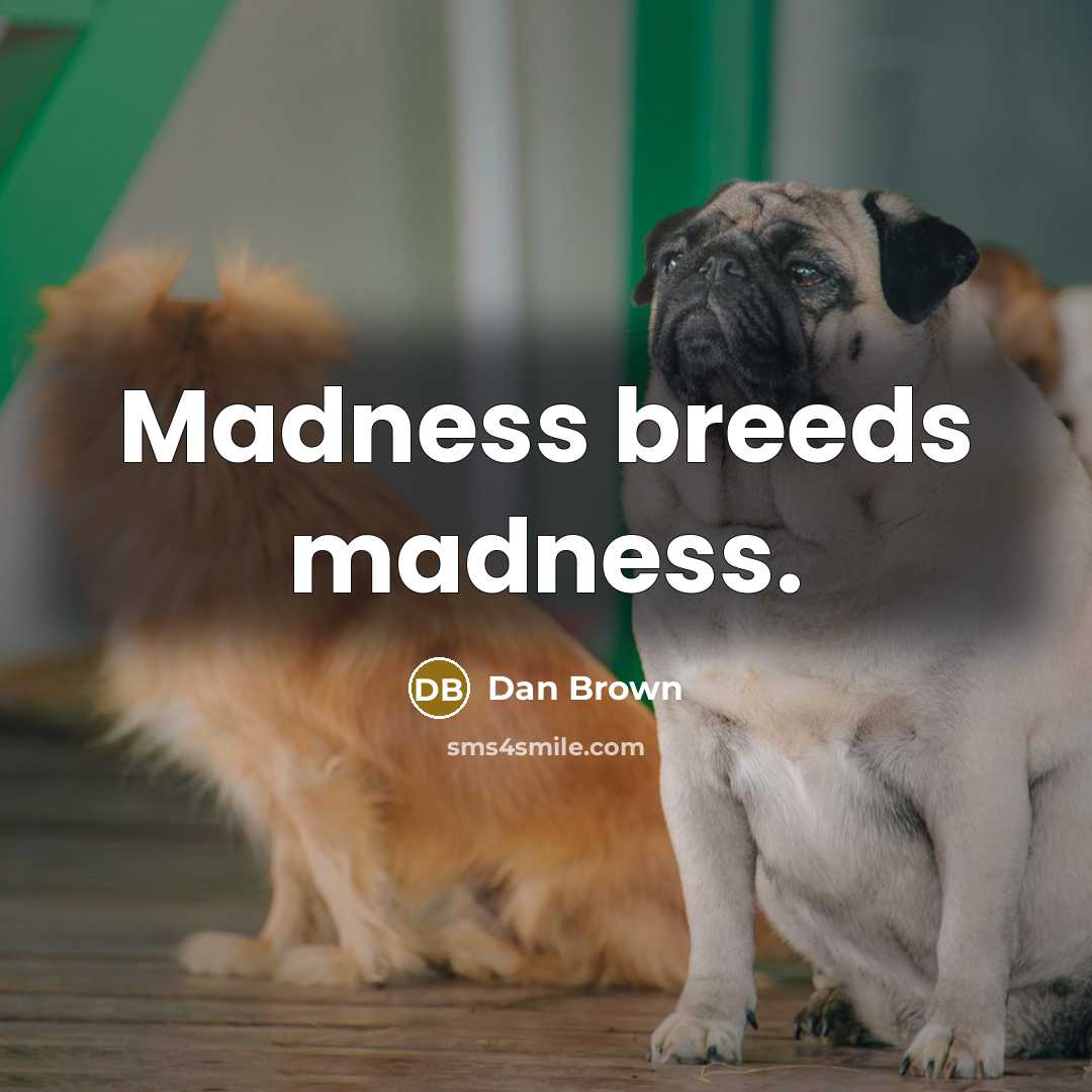 “Madness breeds madness.” quote by Dan Brown