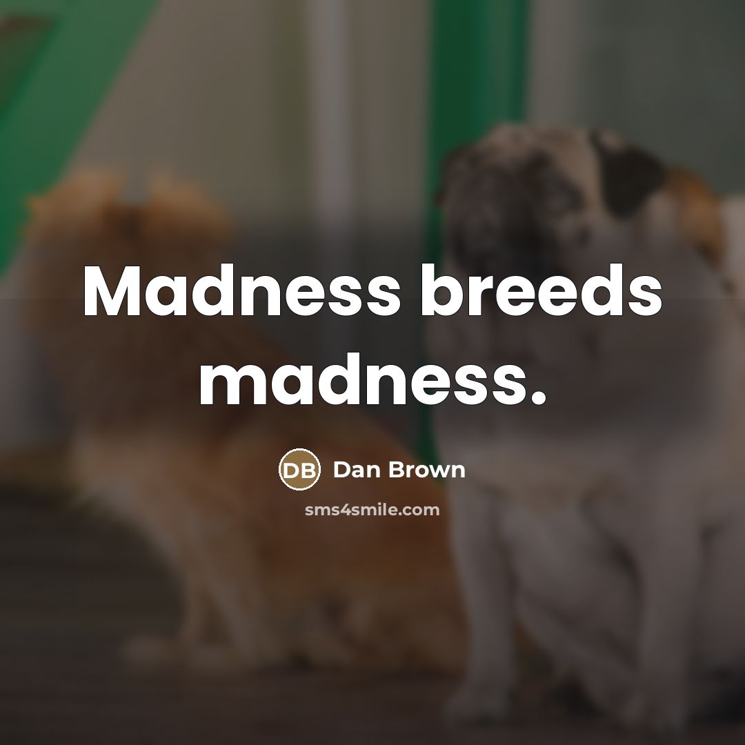 “Madness breeds madness.…” quote by Dan Brown