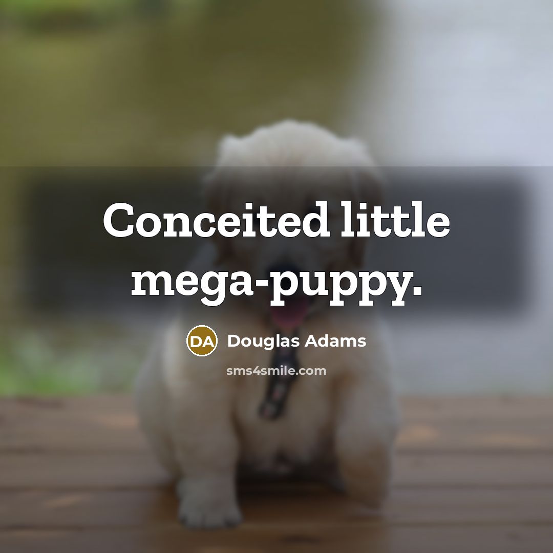 “Conceited little mega-puppy.” quote by Douglas Adams