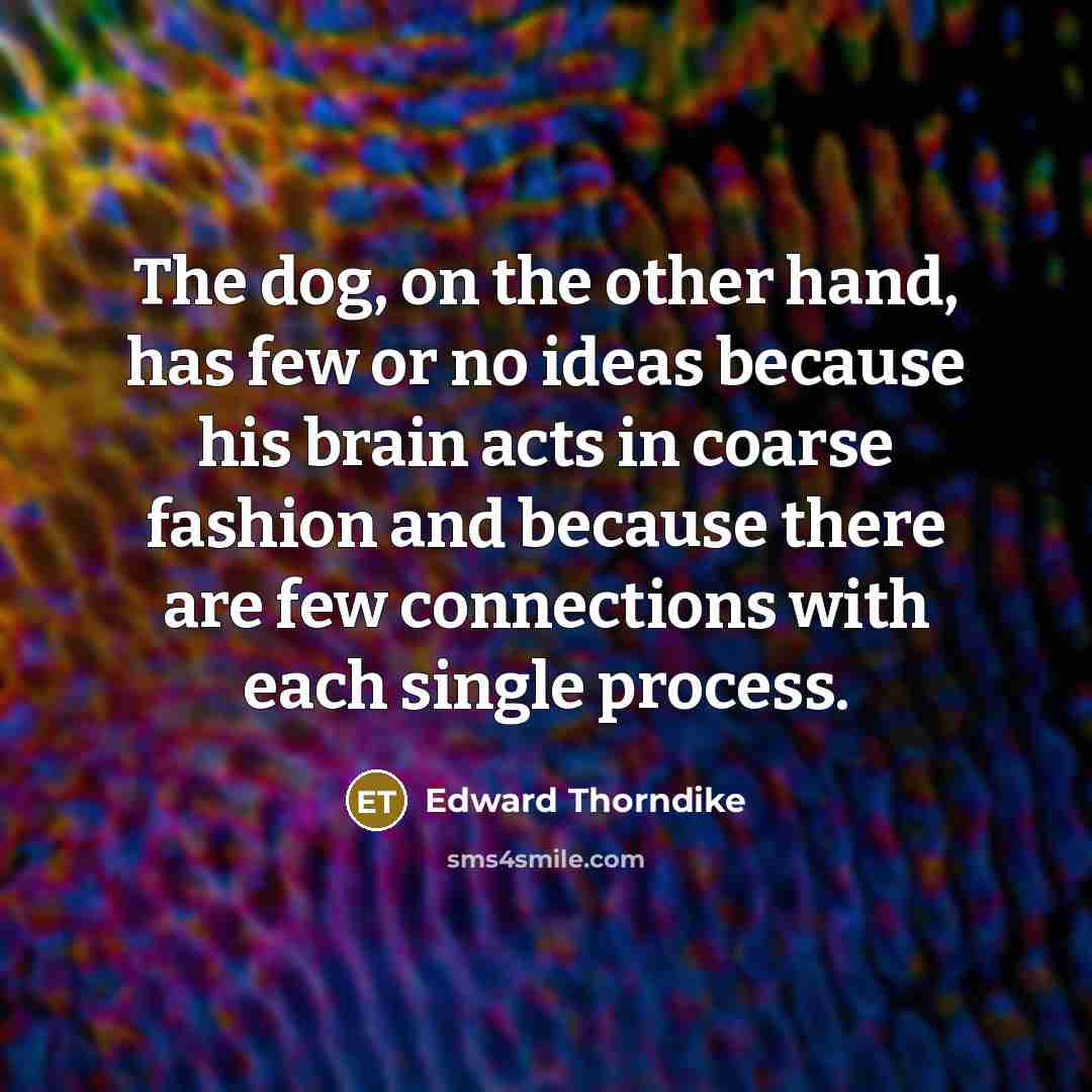 “The dog, on the other hand, has few or no…” quote by Edward Thorndike