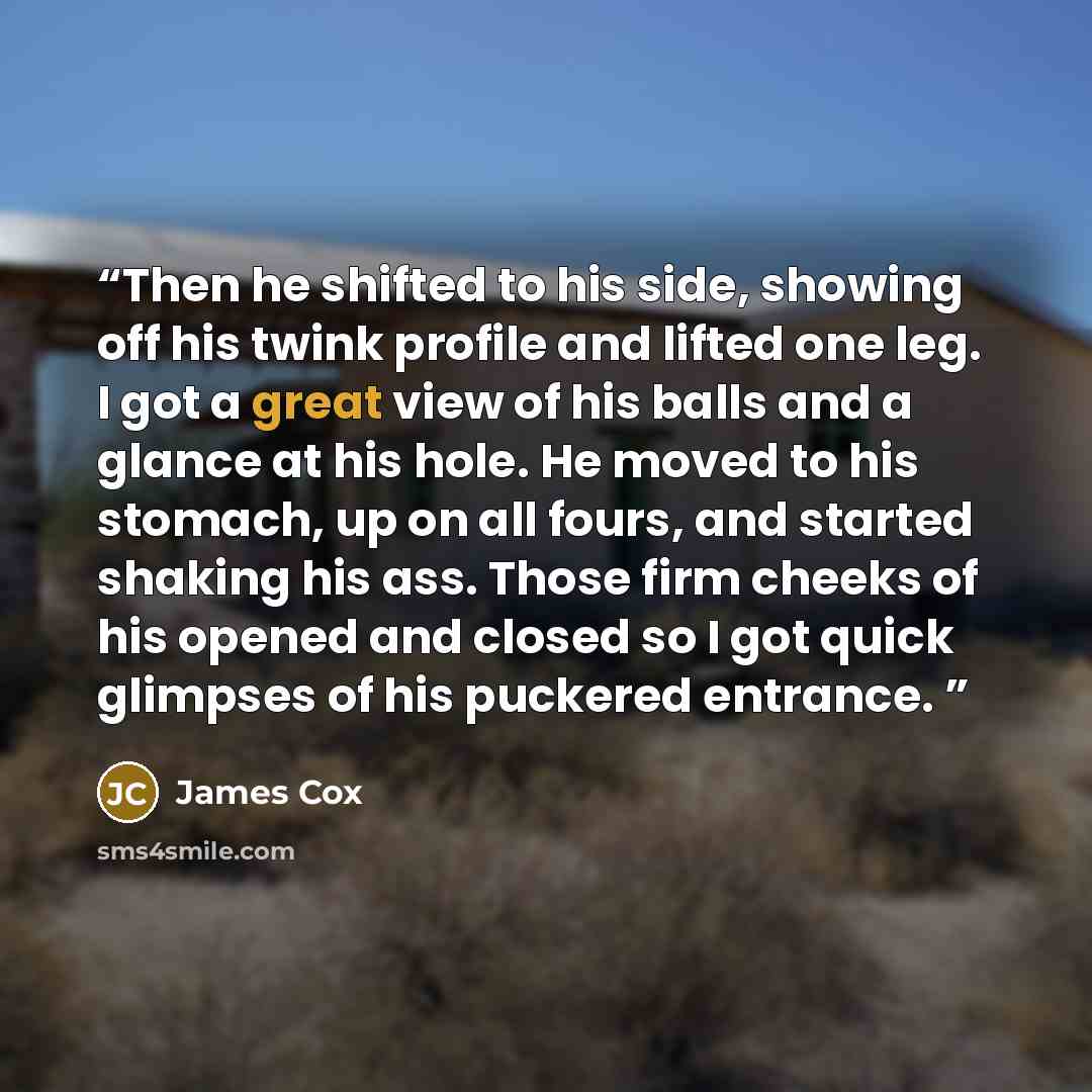 “Then he shifted to his side, showing off his twink profile and lifted one leg. I got a great view of his balls and a glance at his hole. He moved to his stomach, up on all fours, and started shaking his ass. Those firm cheeks of his opened and closed so I got quick glimpses of his puckered entrance.” quote by James Cox