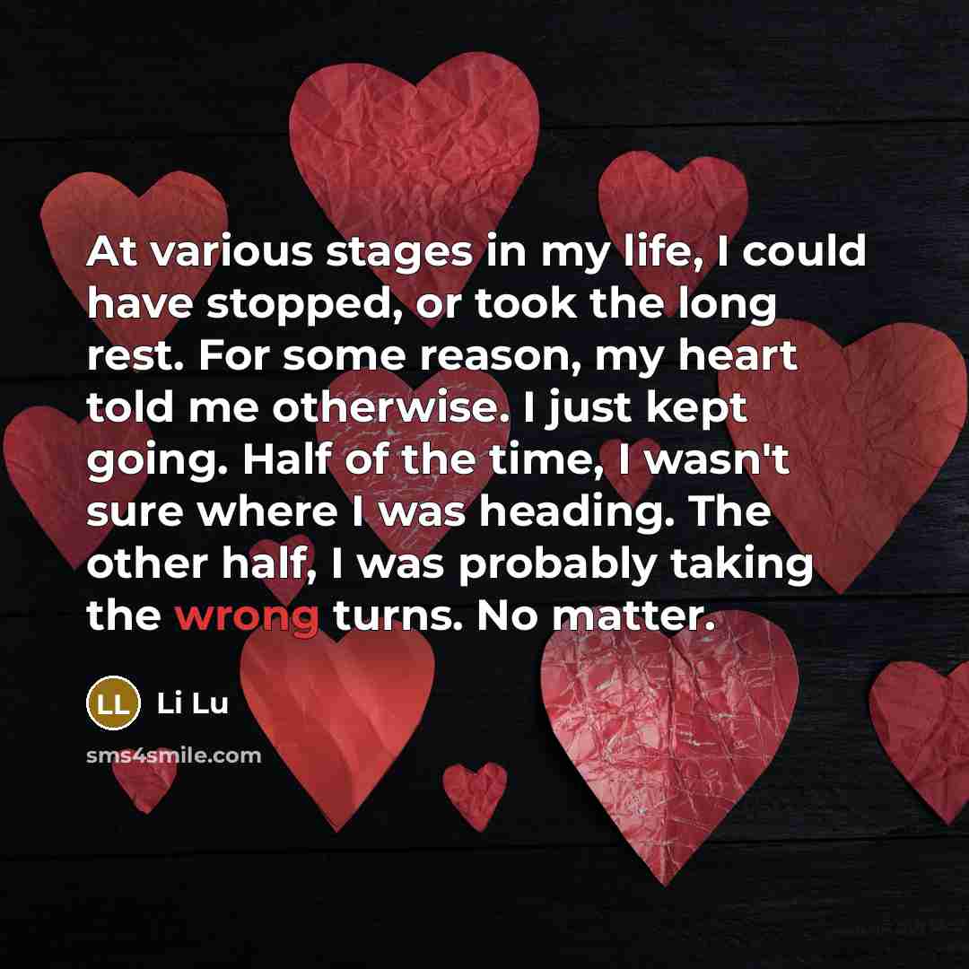 “At various stages in my life, I could have stopped,…” quote by Li Lu