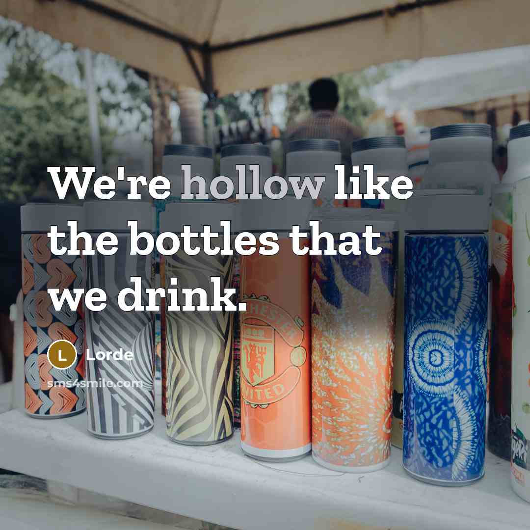 “We're hollow like the bottles that we drink.…” quote by Lorde