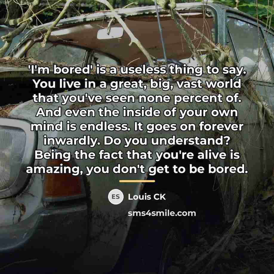 “'I'm bored' is a useless thing to say. You live…” quote by Louis CK