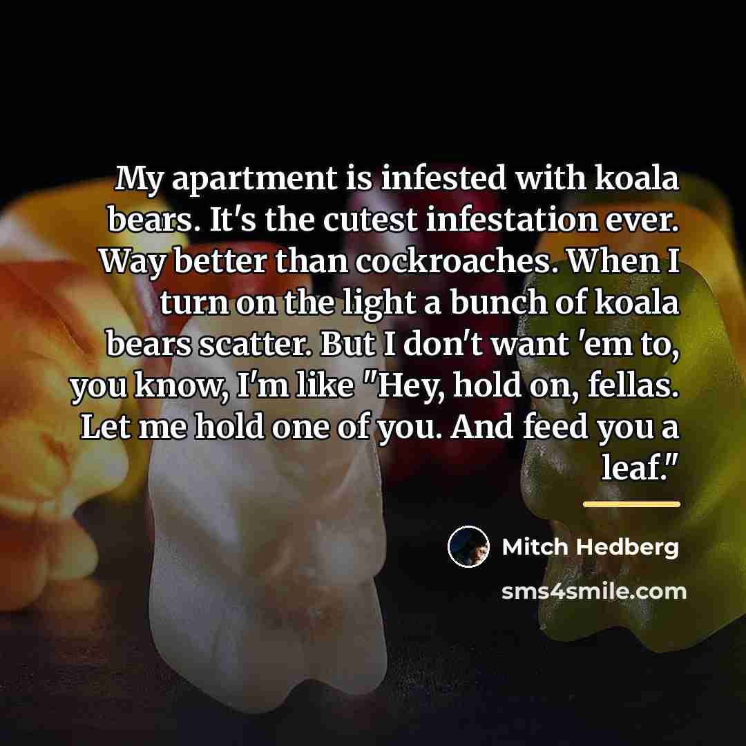 “My apartment is infested with koala bears. It's the cutest…” quote by Mitch Hedberg