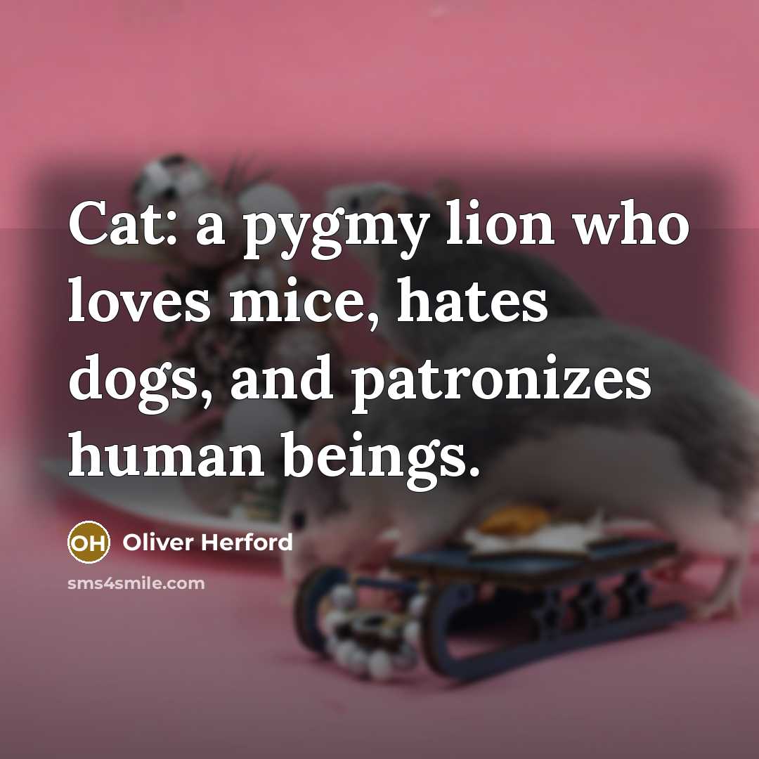 “Cat: a pygmy lion who loves mice, hates dogs, and…” quote by Oliver Herford