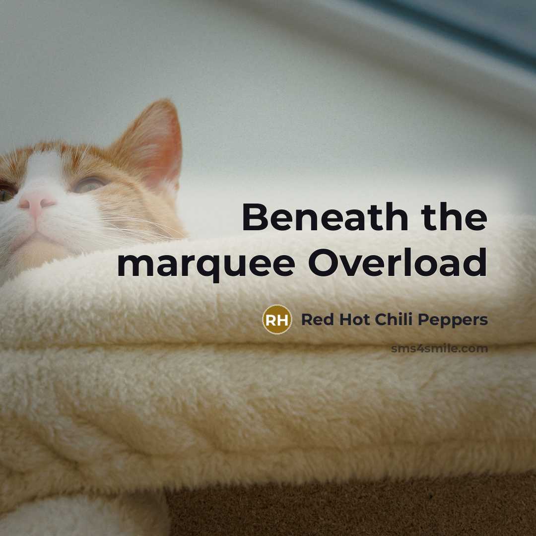 “Beneath the marquee Overload…” quote by Red Hot Chili Peppers