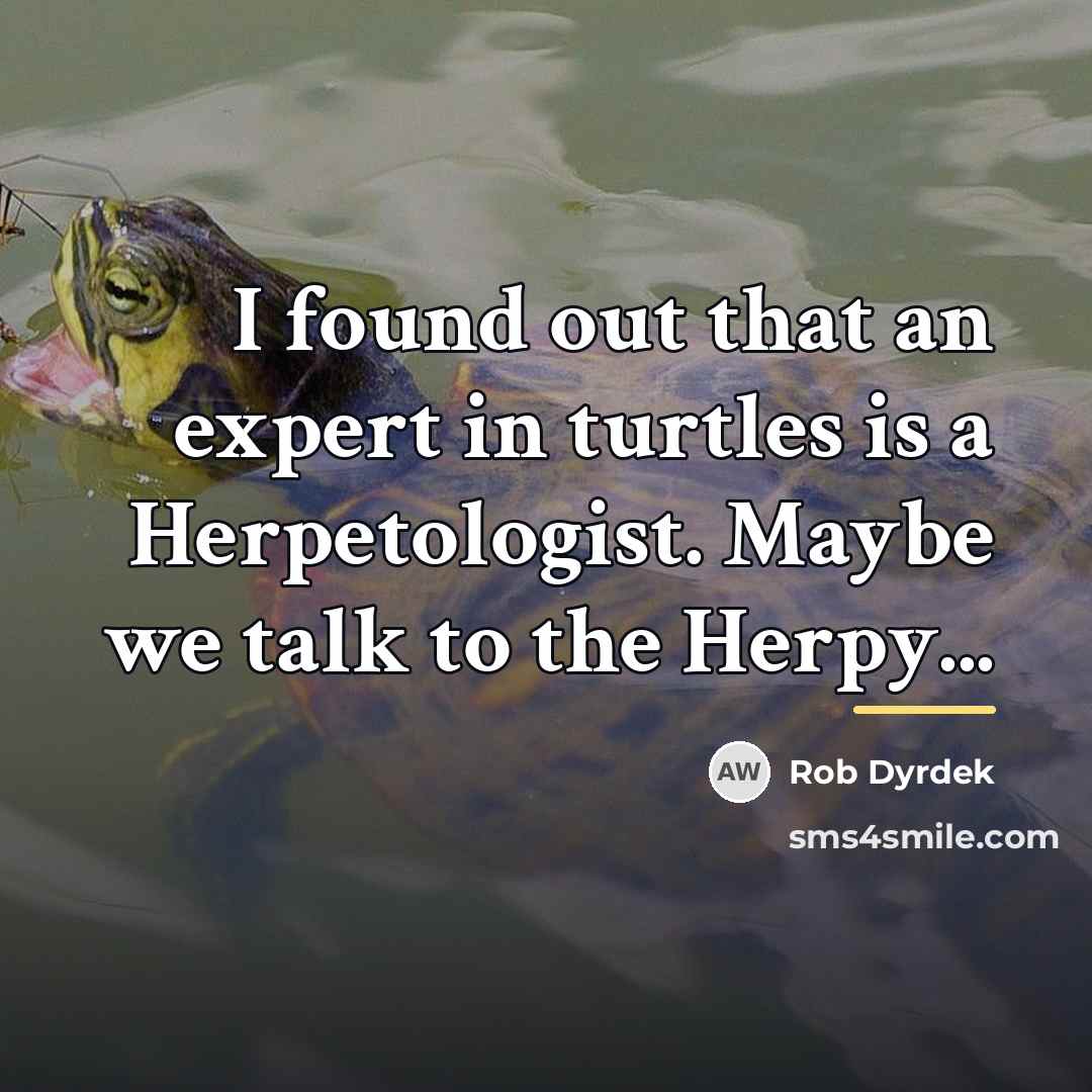 “I found out that an expert in turtles is a…” quote by Rob Dyrdek