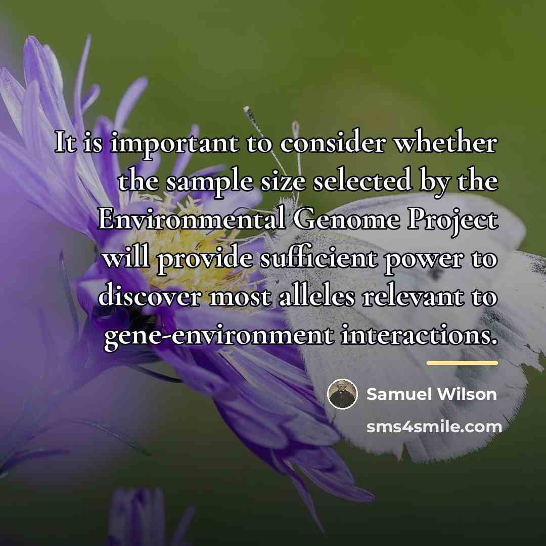 “It is important to consider whether the sample size selected…” quote by Samuel Wilson