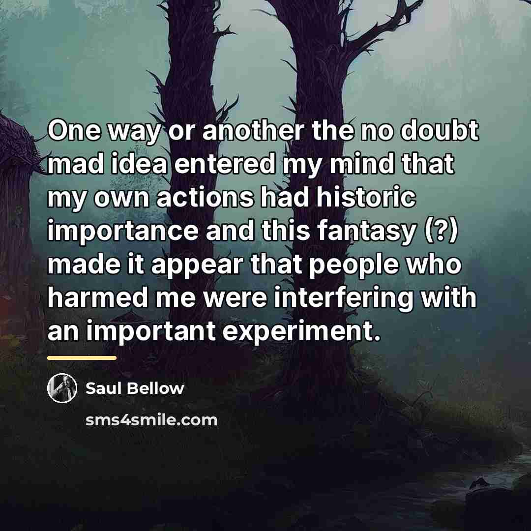 “One way or another the no doubt mad idea entered…” quote by Saul Bellow