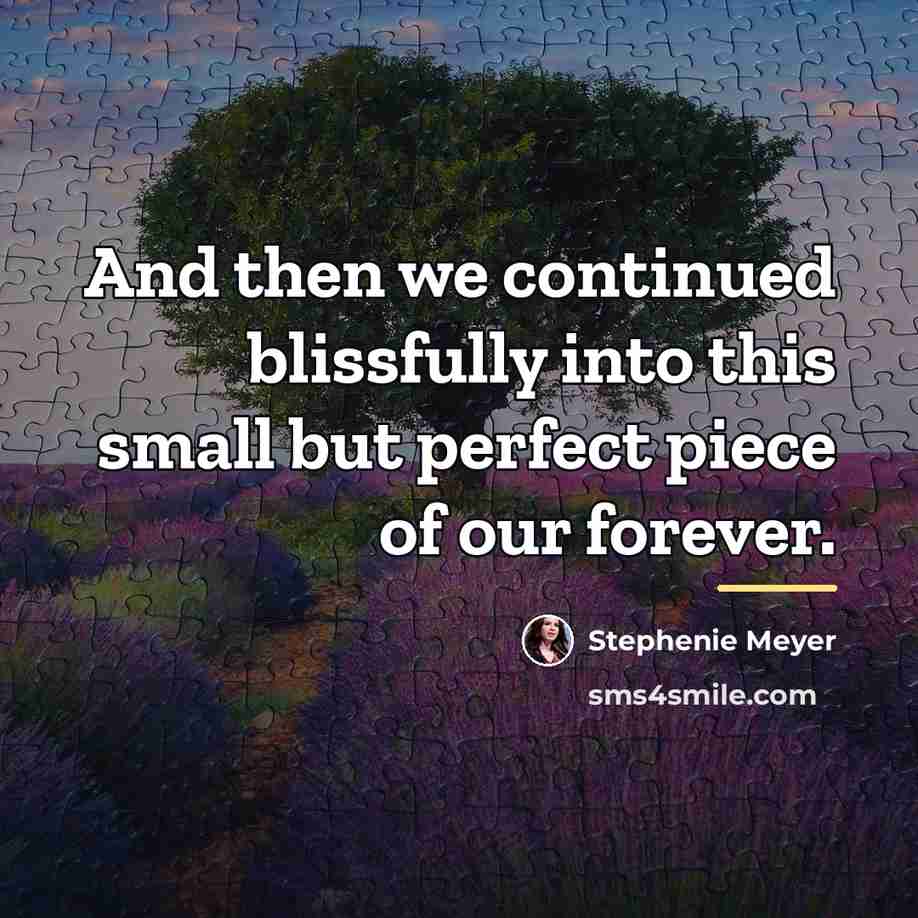 “And then we continued blissfully into this small but perfect…” quote by Stephenie Meyer