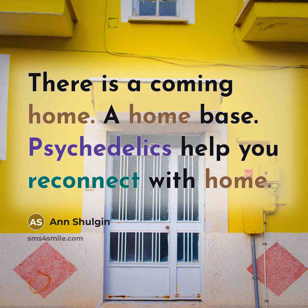 “There is a coming home. A home base. Psychedelics help…” quote by Ann Shulgin