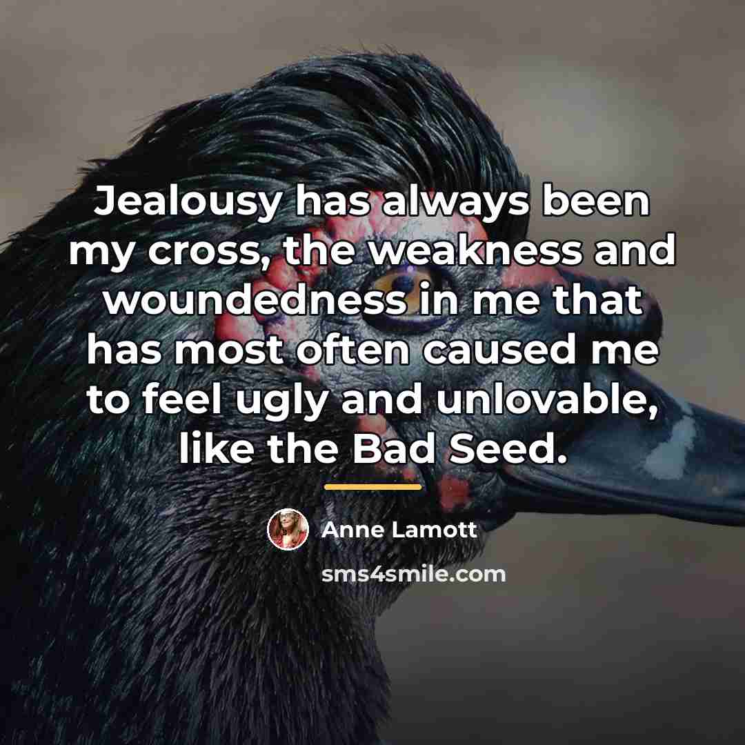 “Jealousy has always been my cross, the weakness and woundedness…” quote by Anne Lamott