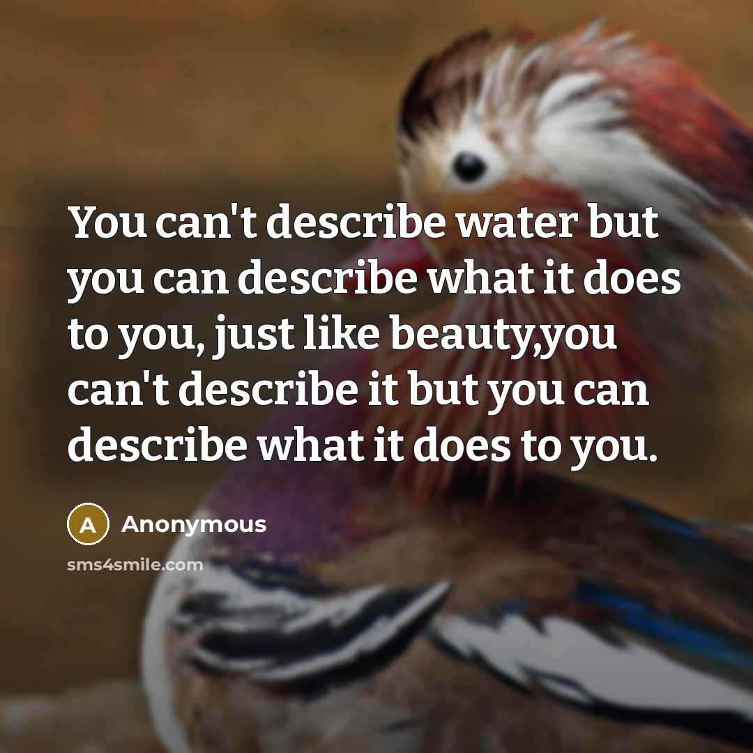 “You can't describe water but you can describe what it…” quote by Anonymous