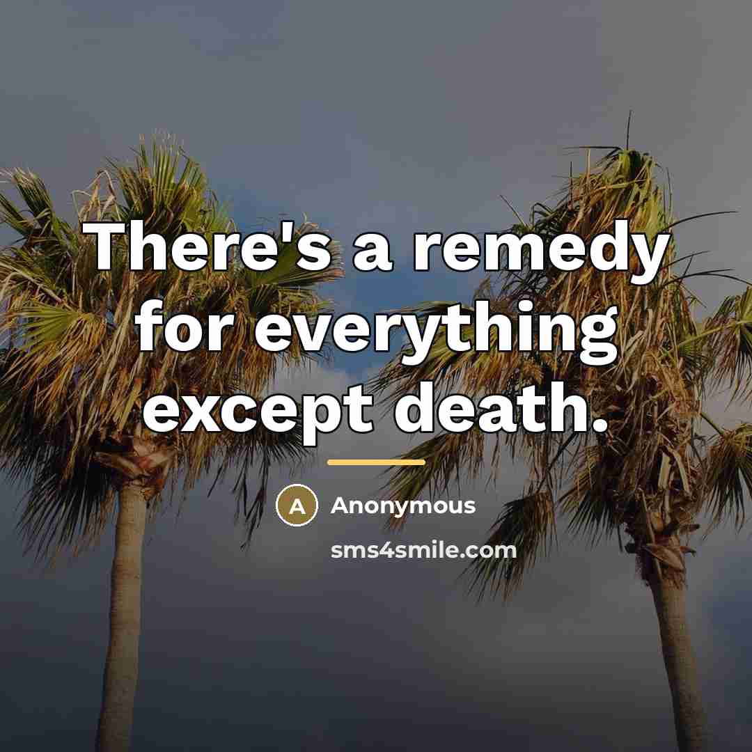 “There's a remedy for everything except death.…” quote by Anonymous