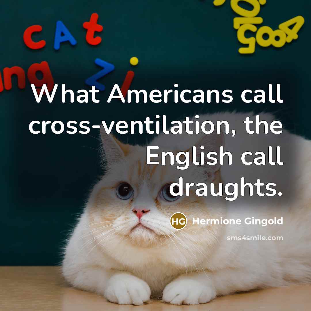 “What Americans call cross-ventilation, the English call draughts.…” quote by Hermione Gingold