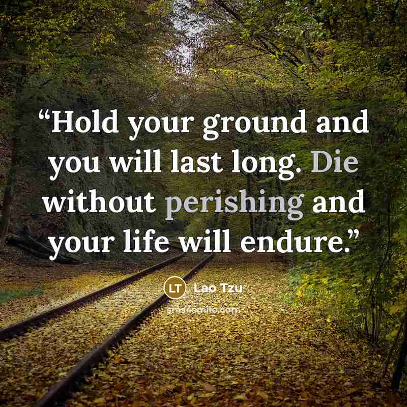 “Hold your ground and you will last long. Die without perishing and your life will endure.” quote by Lao Tzu