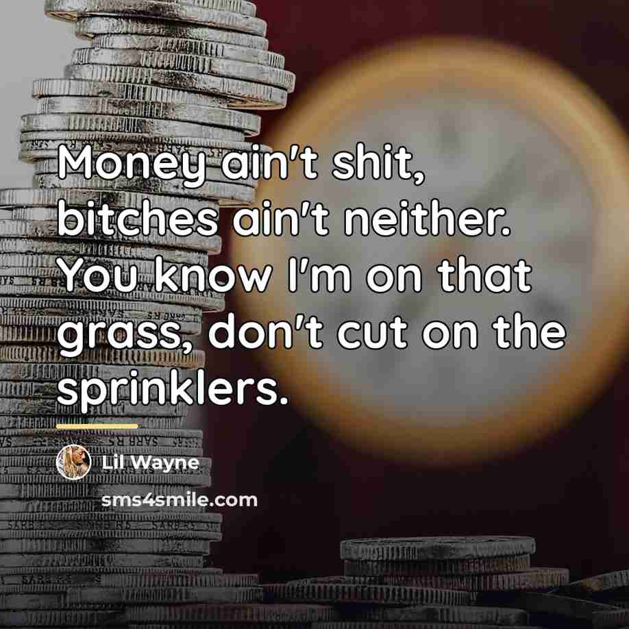 “Money ain't shit, bitches ain't neither. You know I'm on…” quote by Lil Wayne