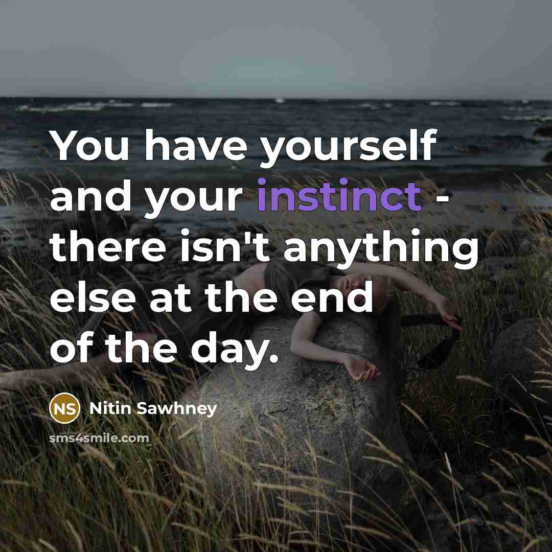 “You have yourself and your instinct - there isn't anything…” quote by Nitin Sawhney