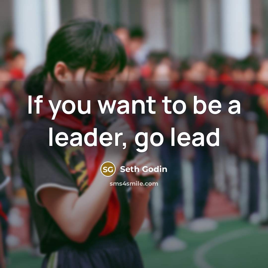 “If you want to be a leader, go lead…” quote by Seth Godin