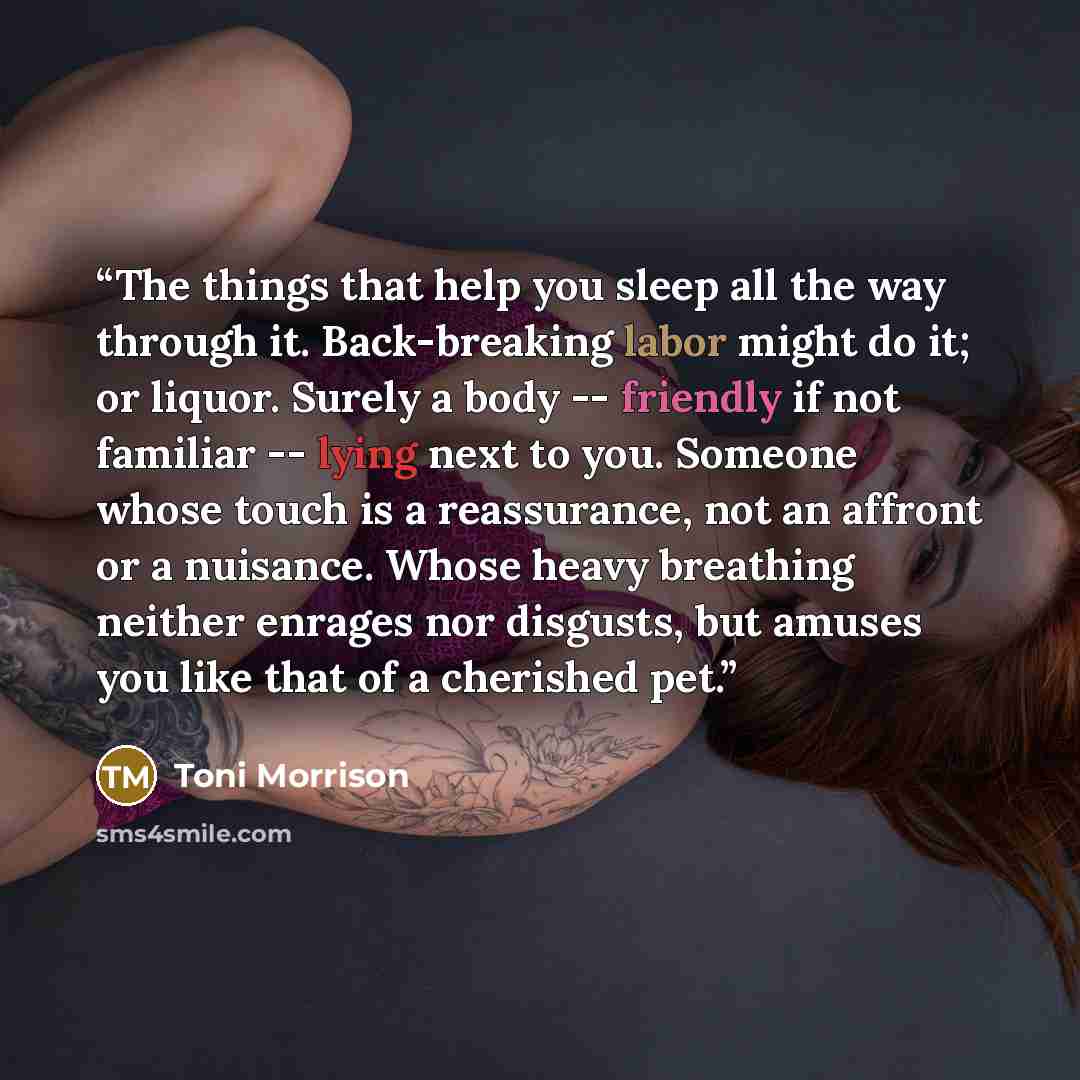 “The things that help you sleep all the way through it. Back-breaking labor might do it; or liquor. Surely a body -- friendly if not familiar -- lying next to you. Someone whose touch is a reassurance, not an affront or a nuisance. Whose heavy breathing neither enrages nor disgusts, but amuses you…” quote by Toni Morrison