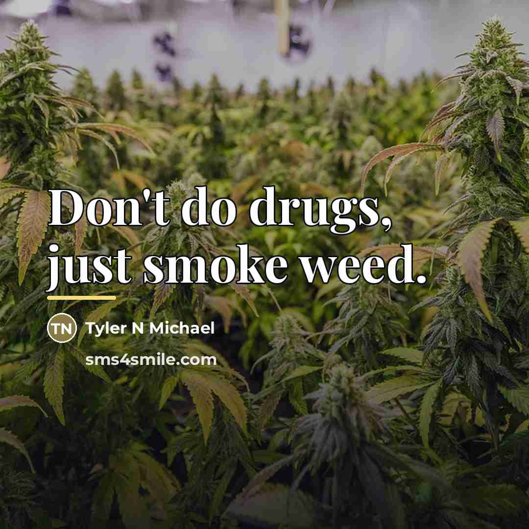 “Don't do drugs, just smoke weed.…” quote by Tyler N Michael