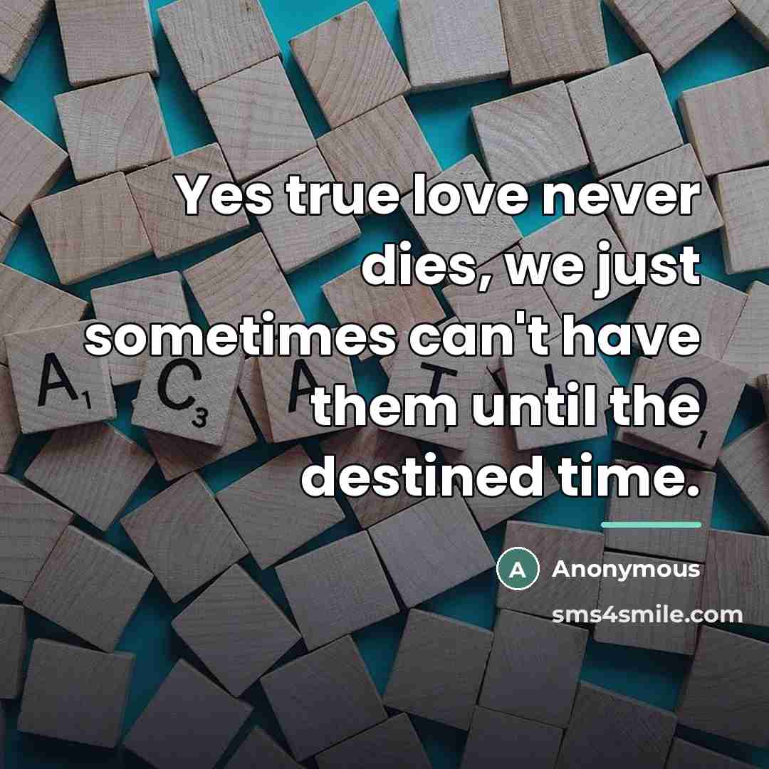“Yes true love never dies, we just sometimes can't have…” quote by Anonymous