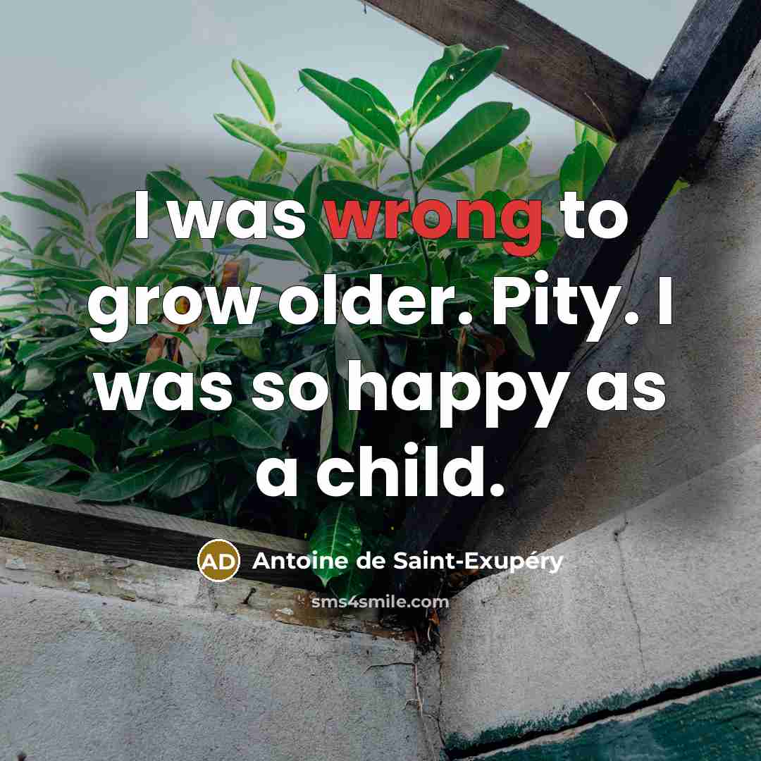 “I was wrong to grow older. Pity. I was so…” quote by Antoine de Saint-Exupery