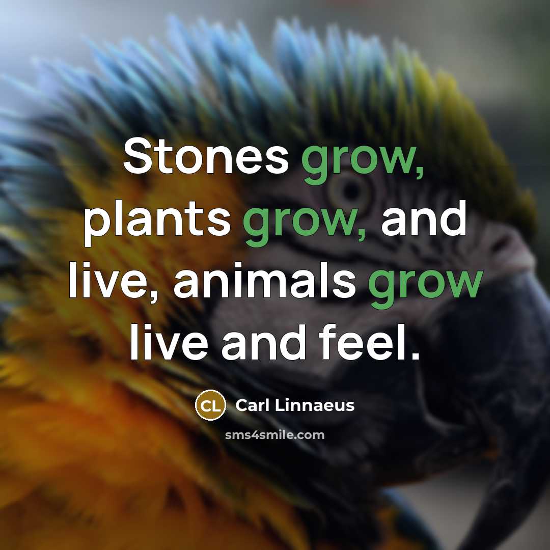 “Stones grow, plants grow, and live, animals grow live and…” quote by Carl Linnaeus