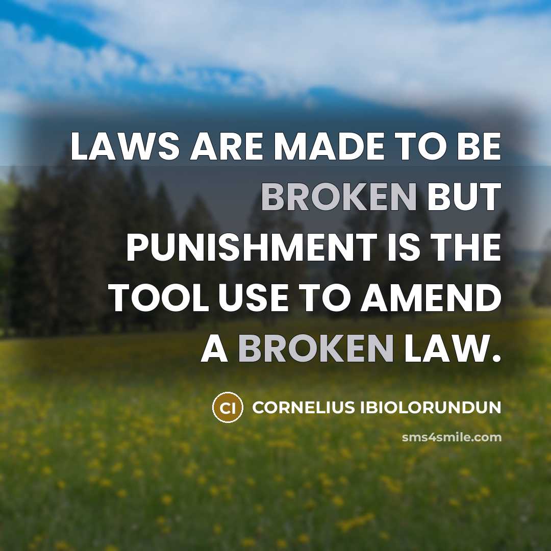 “LAWS ARE MADE TO BE BROKEN BUT PUNISHMENT IS THE…” quote by CORNELIUS IBIOLORUNDUN