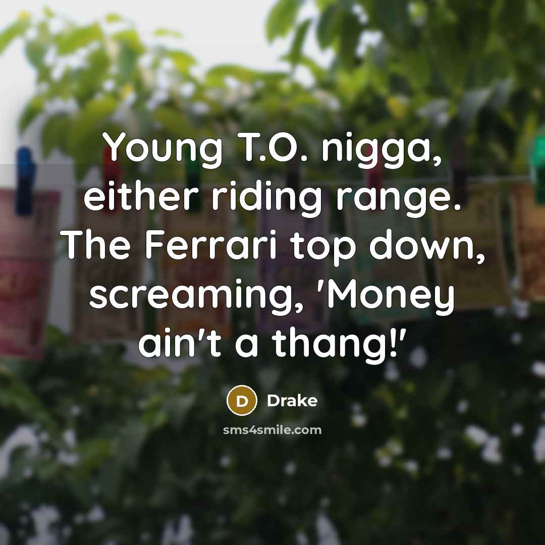 “Young T.O. nigga, either riding range. The Ferrari top down,…” quote by Drake