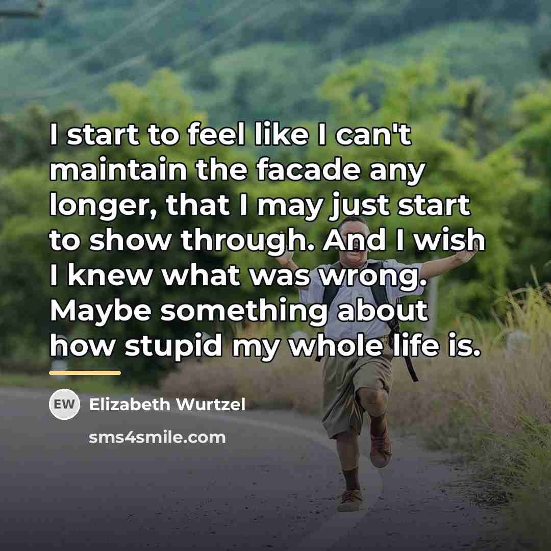 “I start to feel like I can't maintain the facade…” quote by Elizabeth Wurtzel