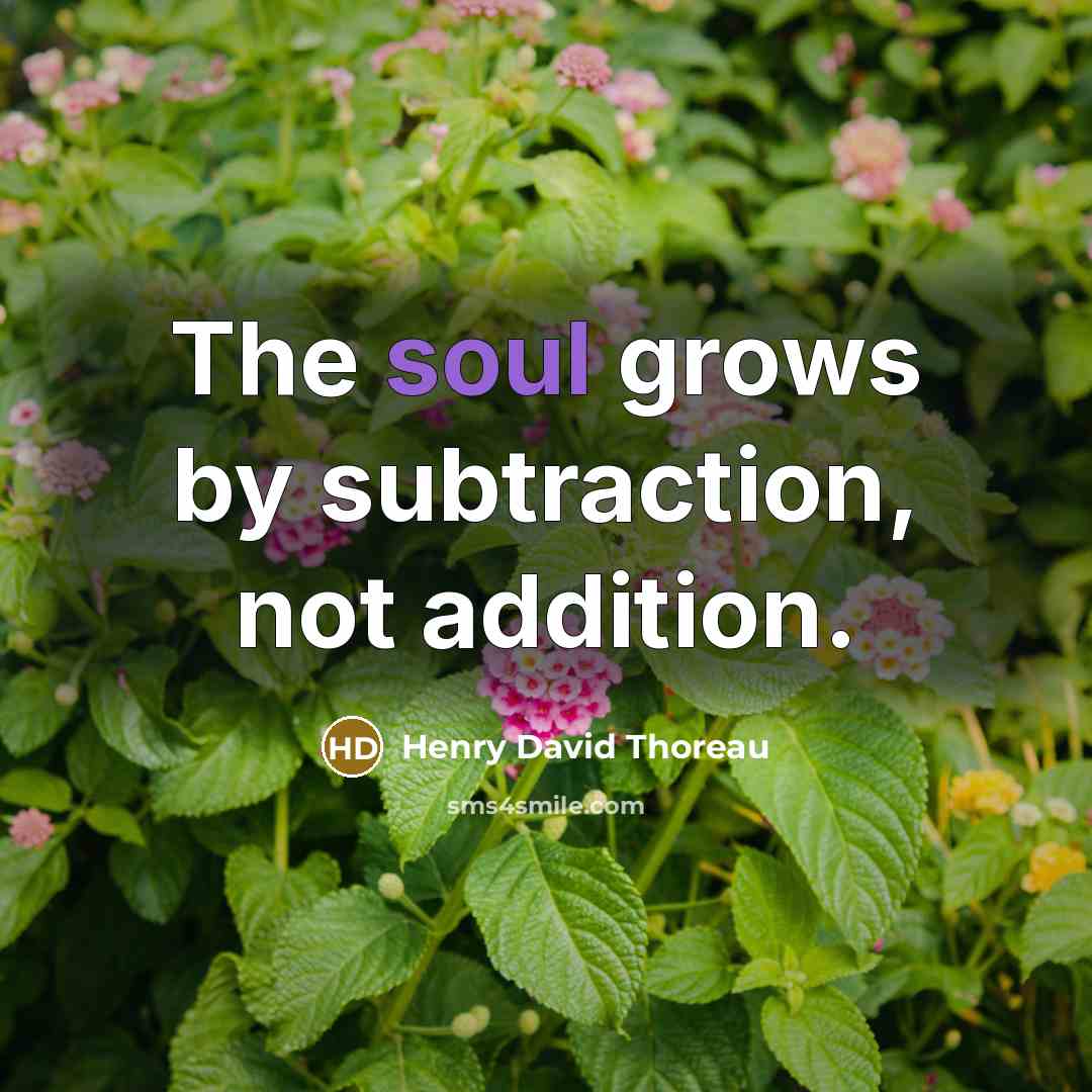 “The soul grows by subtraction, not addition.…” quote by Henry David Thoreau