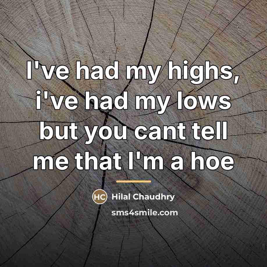 “I've had my highs, i've had my lows but you…” quote by Hilal Chaudhry