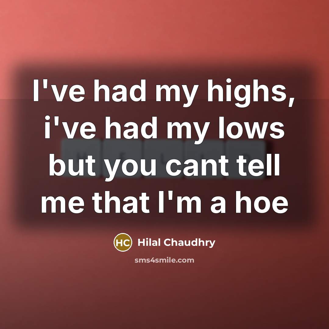 “I've had my highs, i've had my lows but you cant tell me that I'm a hoe” quote by Hilal Chaudhry