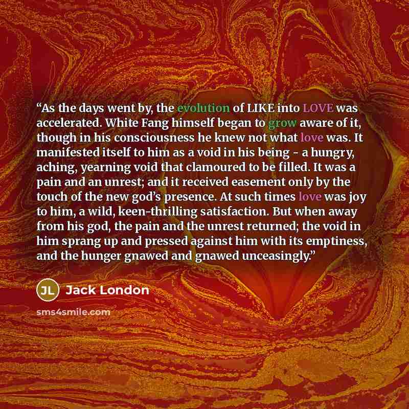 “As the days went by, the evolution of LIKE into LOVE was accelerated. White Fang himself began to grow aware of it, though in his consciousness he knew not what love was. It manifested itself to him as a void in his being - a hungry, aching, yearning void that clamoured to be filled. It was a pain…” quote by Jack London