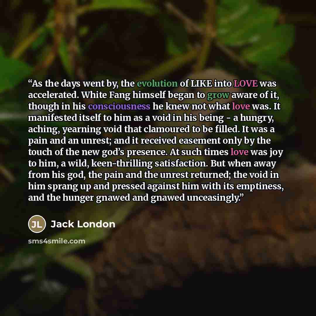 “As the days went by, the evolution of LIKE into LOVE was accelerated. White Fang himself began to grow aware of it, though in his consciousness he knew not what love was. It manifested itself to him as a void in his being - a hungry, aching, yearning void that clamoured to be filled. It was a pain…” quote by Jack London