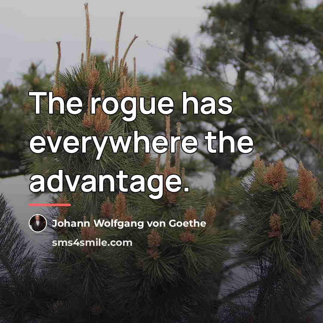 “The rogue has everywhere the advantage.…” quote by Johann Wolfgang von Goethe