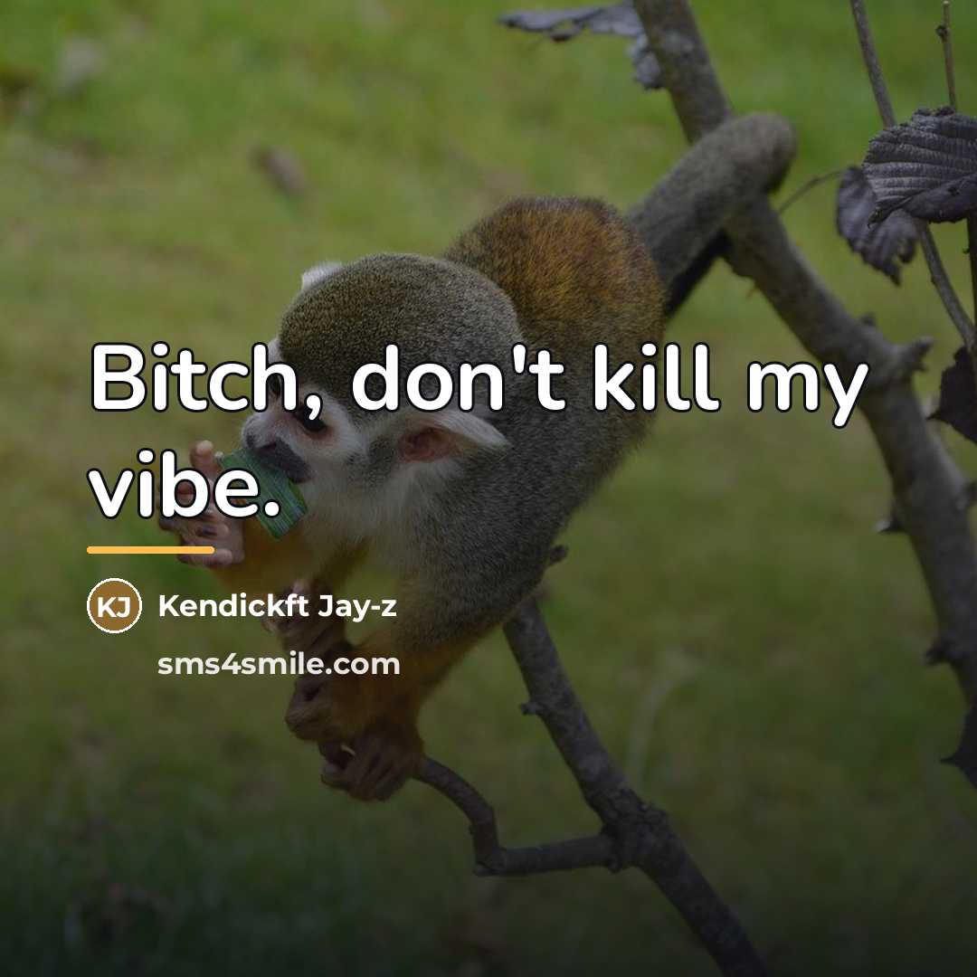 “Bitch, don't kill my vibe.…” quote by Kendickft Jay-z