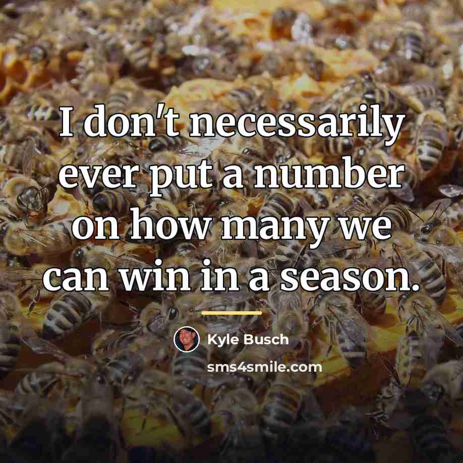 “I don't necessarily ever put a number on how many…” quote by Kyle Busch